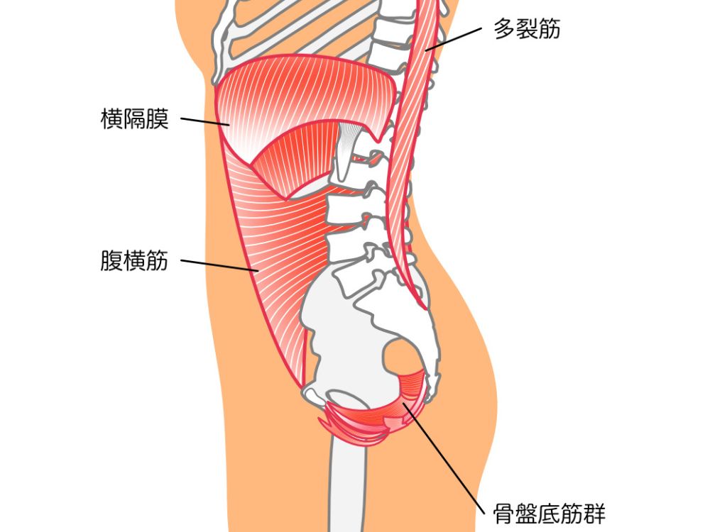 image1 ロングブレスダイエットに危険性はあるか？1週間で効果を実感するための正しい手順もご紹介