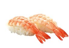 hama sushi diet1 はま寿司ダイエット|太りにくい食べ方と注文順・何皿までOKかが分かる