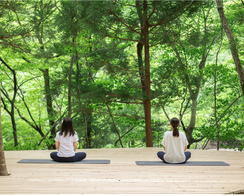 image8 1 【2026年最新】ヨガリトリート国内おすすめ13選|一人参加・日帰り・ホテル型